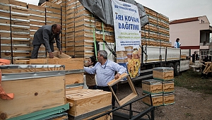Ankara’da Bal Üretimi Artacak