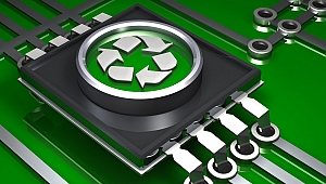 Geri Dönüştürülen Atıklar Orman Olacak