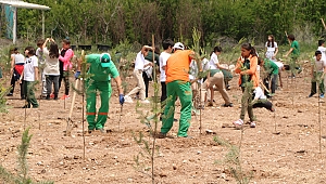 Hem Doğa Hem Ekonomi Kazandı