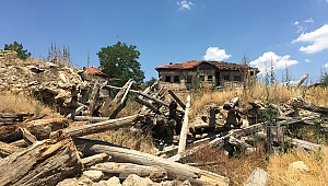 Ankara'da Tarım ve Hayvancılık, Her Geçen Gün Bitiyor