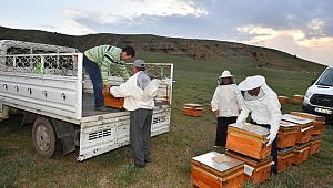 Ankara Balı Markalaşacak