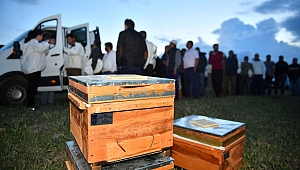 Arı Yetiştiriciliğine Destek