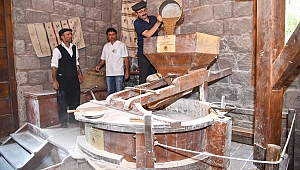 Ankara Altınköy'de Hasat Başladı