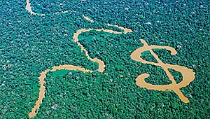 Rant Uğruna Doğal Yaşam Katledilecek, Büyük Ekolojik Kayıplar Olacak