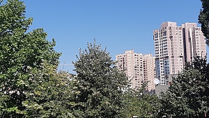 Milletvekillerinin Dikmen Vadisi İlgisi 