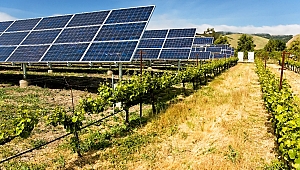 Ankara’da Güneş Enerjisinden Yöresel Ürünler Üretilecek