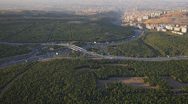 Odtu Arazisi 49 Yilligina Kyk Ya Bedelsiz Olarak Devredildi Gayrimenkul Ankara Nin Ekonomi Sitesi