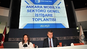 Ankaralı Mobilyacılar, Sorunlarına Çözüm Arıyor