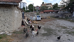 Ümitköy, Kimilerine Göre Hala 'Köy'