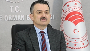 Bakan Pakdemirli: Lisanslı depo kapasitesi 7 milyon tona ulaştı
