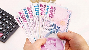 245 milyarlık yapılandırma
