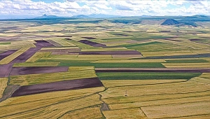 Bakanlık 8 ilde 181 arsayı satışa çıkardı