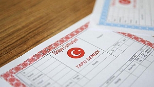 Tapuya aile şerhi koyanların sayısı arttı