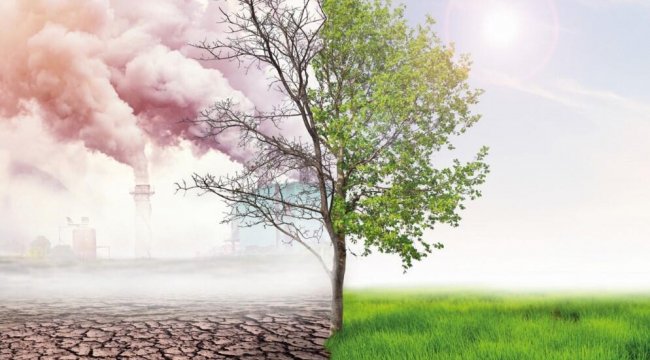 81 adımda yeşil dönüşüm