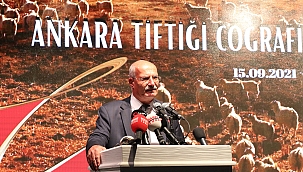 Ankara’nın tiftiği coğrafi işaret tescili aldı