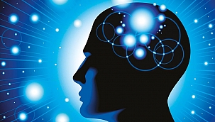 Alkol kullanımı beyinde hacim kaybına yol açıyor