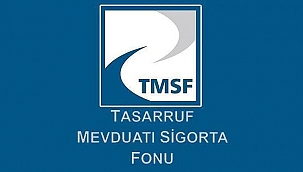 TMSF, Naksan Plastik'i satışa çıkardı
