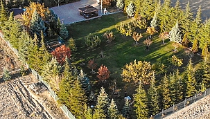 Gölbaşı'nda 200 adet ağaçların içerisinde satılık ev 