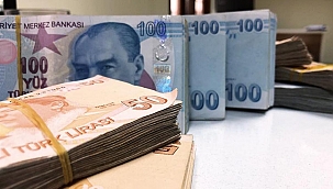 Şirketler de TL dönüşüm hesabı açabilecek