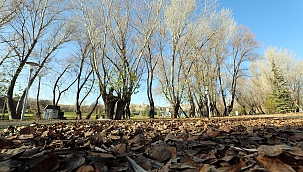 Yenimahalle’nin seralarında kapasite 3’e katlanıyor