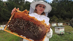 Arıcılık yaparak ekonomik gelir elde etmek isteyenlere fırsat