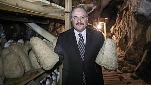 Bakan Varank Türk rokforunu inceledi