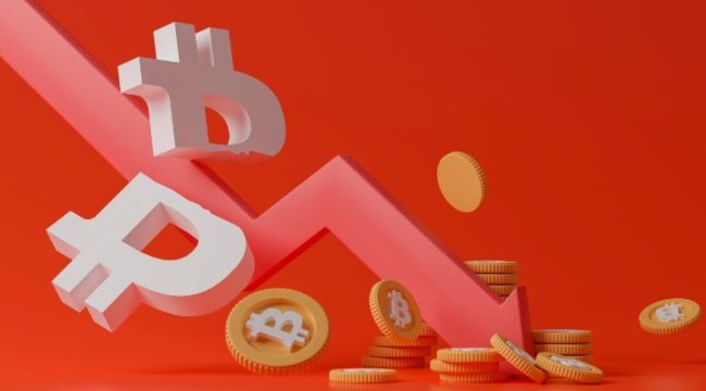 Kripto fenomenleri anlatıyor… 'Düşüşü görmek şoke ediciydi...'
