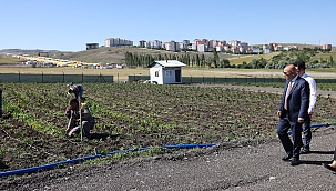 Tarımsal üretim için örnek bostan