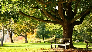 Ankara’nın en yavaş ilçesinin Güdül olduğu ortaya çıktı