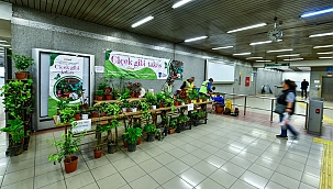 Çiçek yetiştiricileri bitkilerini ücretsiz takas edebiliyor