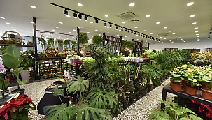 Ankara’da bitki evleri yaygınlaşıyor