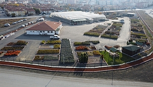 Keçiören’de yetişen süs bitkileri çevreye güzelleştiriyor