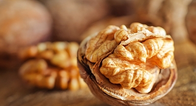 Yeni ceviz bahçesi yatırımları olumsuz etkilenebilir