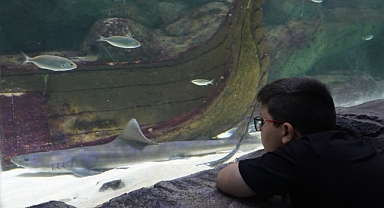 Deniz dünyası’nda meraklı bakışlar