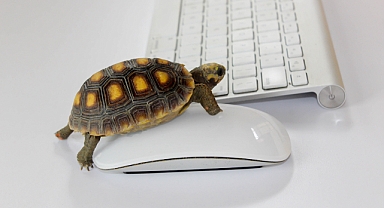 Yetersiz hizmet, güvenlik açığı ve kesintiye yol açıyor