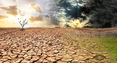 İklim krizi sigorta sektörünü de etkiledi