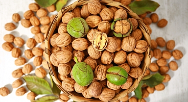 Ceviz üretiminde yerli firmaları desteklemek için gümrük vergileri artırılmalı