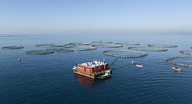 Tarım ve Orman Bakanlığı'ndan yasa dışı avcılık denetimi