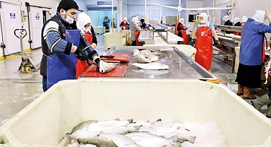 103 ülkeye Türk somonu