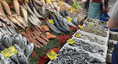 Hamsi bolluğu sürüyor