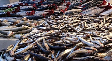 Hamsi fiyatları dalgalı seyrediyor