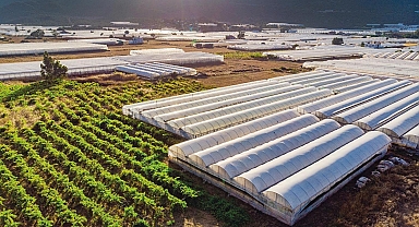 Kayıt dışı seralara düzenleme geliyor