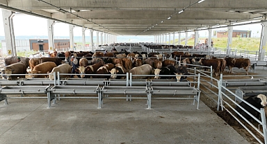 Gölbaşı kurban kesim ve fuar alanı dünyayı ağırladı