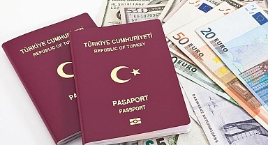 Dışardaki yerli yatırım 50.8 milyar dolar