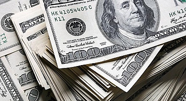 Merkez Bankası'nın rezervlerinde rekor
