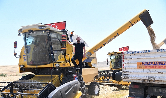 Pursaklar’da hasat zamanı