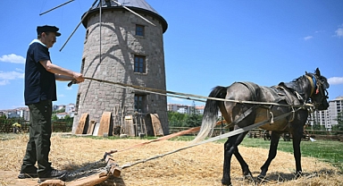 Altınköy Açık Hava Müzesi’nde hasat heyecanı yaşandı
