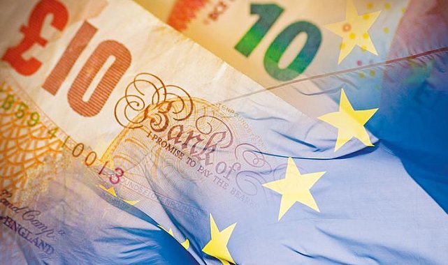 Vize reddi 13 milyon Euro'ya mal oldu