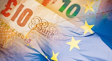 Vize reddi 13 milyon Euro'ya mal oldu