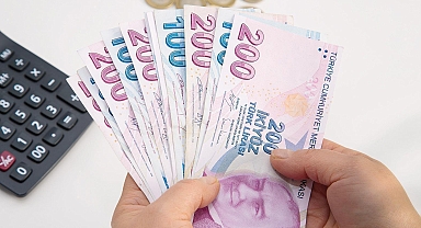 Hazine kefaletiyle krediler 913.5 milyar lirayı aştı